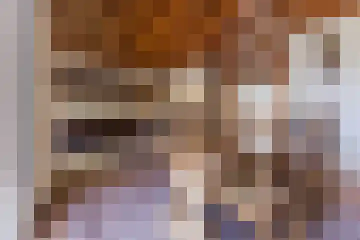 Atlas 6 Heeze thumbnail 10