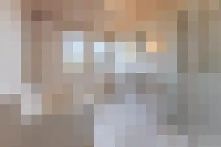 Atlas 6 Heeze thumbnail 21