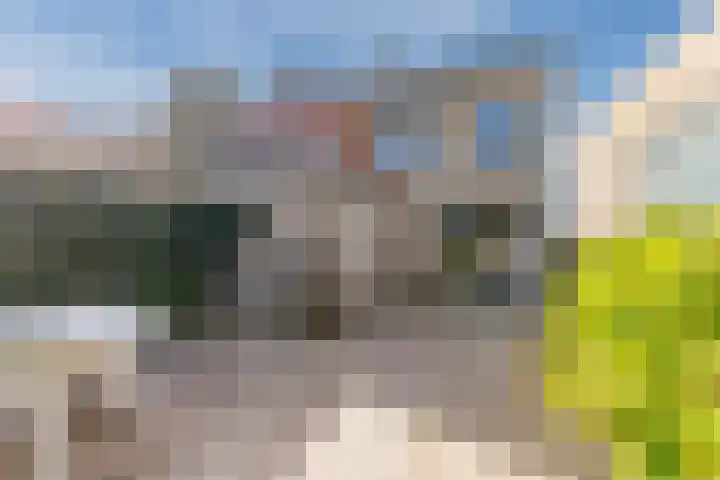Atlas 6 Heeze thumbnail 34