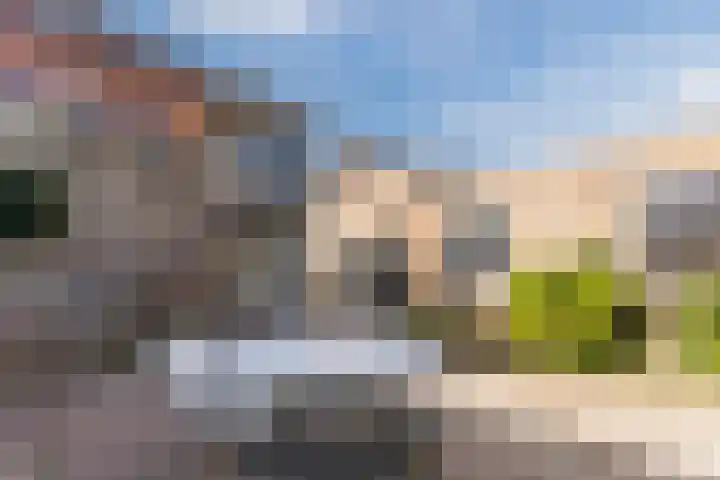 Atlas 6 Heeze thumbnail 39