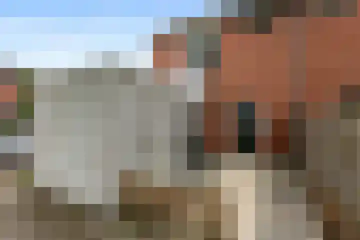 Atlas 72 Hoogezand thumbnail 29