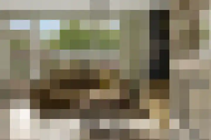 Atlas 72 Hoogezand thumbnail 7