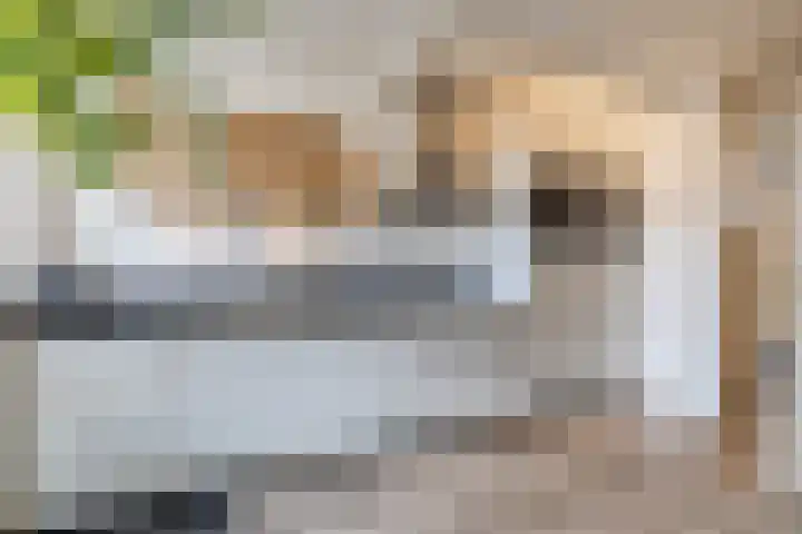 Atlaslaan 1 Hoogeveen thumbnail 11