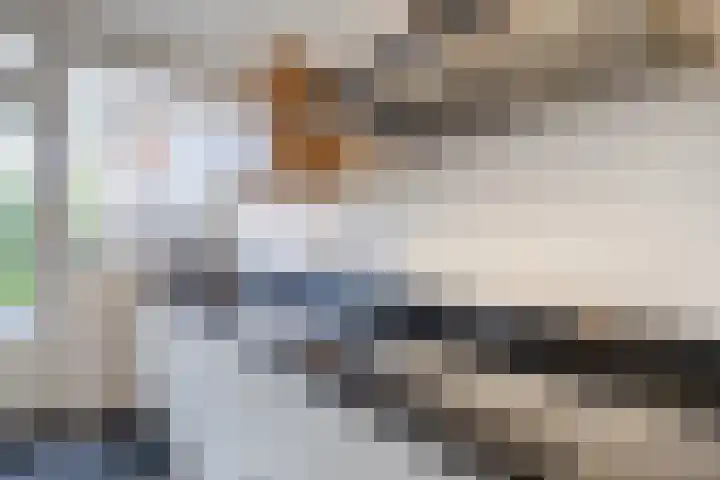 Atlaslaan 1 Hoogeveen thumbnail 12