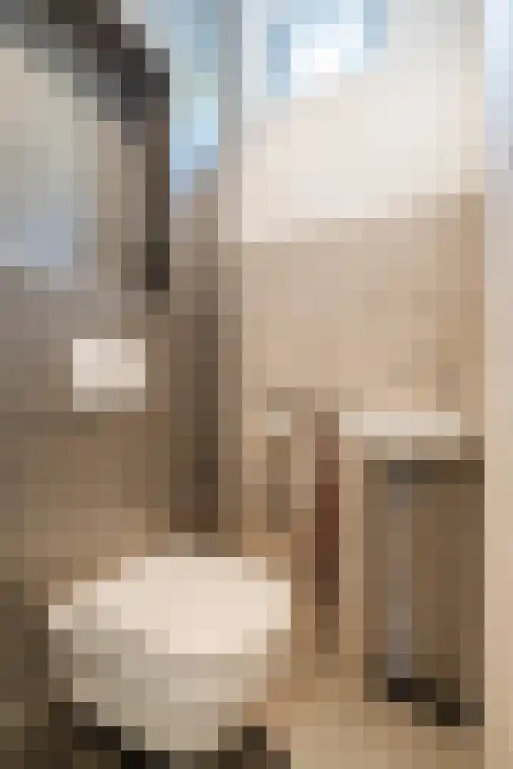 Atlaslaan 1 Hoogeveen thumbnail 17