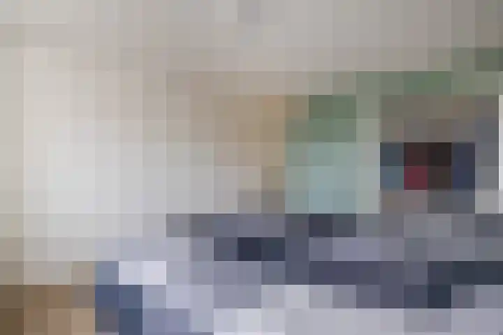 Atlaslaan 1 Hoogeveen thumbnail 19