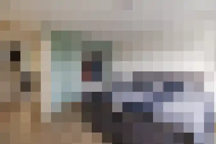 Atlaslaan 1 Hoogeveen thumbnail 20