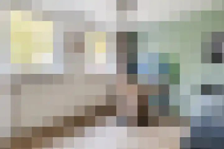 Atlaslaan 1 Hoogeveen thumbnail 23