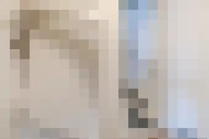 Atlaslaan 1 Hoogeveen thumbnail 28