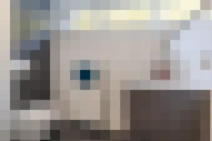 Atlaslaan 1 Hoogeveen thumbnail 30