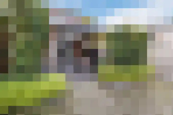 Atlaslaan 1 Hoogeveen thumbnail 41