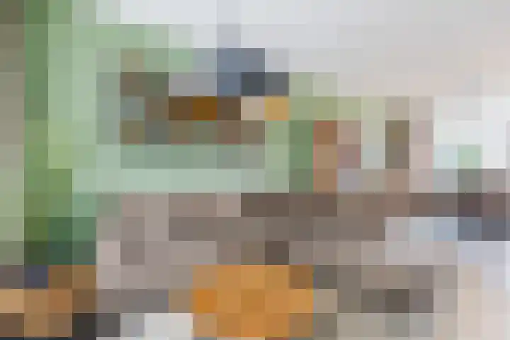 Atlaslaan 1 Hoogeveen thumbnail 5