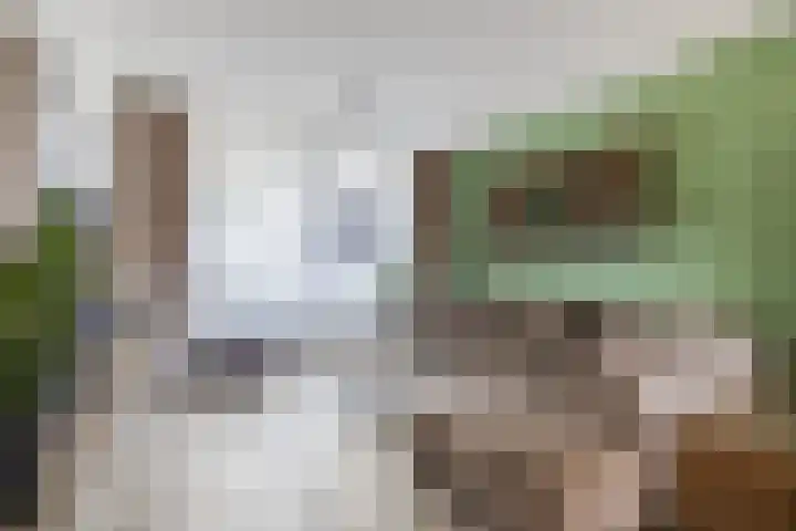 Atlaslaan 1 Hoogeveen thumbnail 6