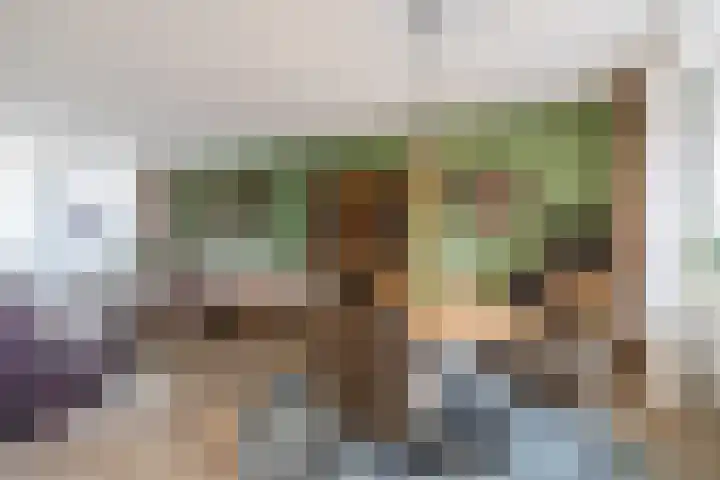 Atlaslaan 1 Hoogeveen thumbnail 7
