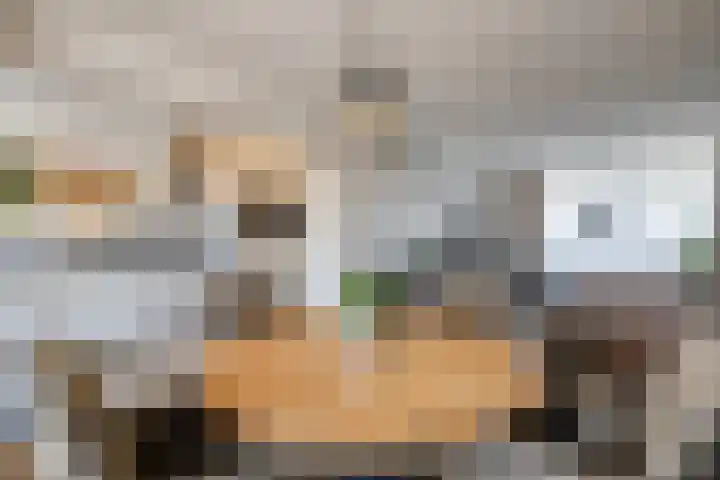 Atlaslaan 1 Hoogeveen thumbnail 9