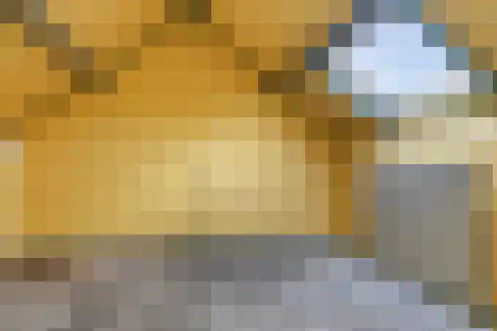 Atlaslaan 106 Hoogeveen thumbnail 16