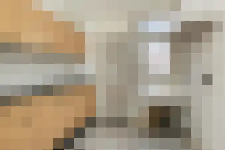 Atlaslaan 106 Hoogeveen thumbnail 9