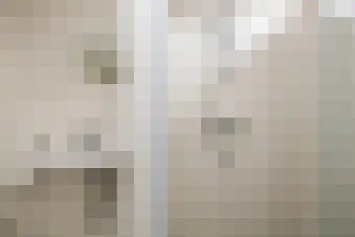 Atlaslaan 128 Hoogeveen thumbnail 10