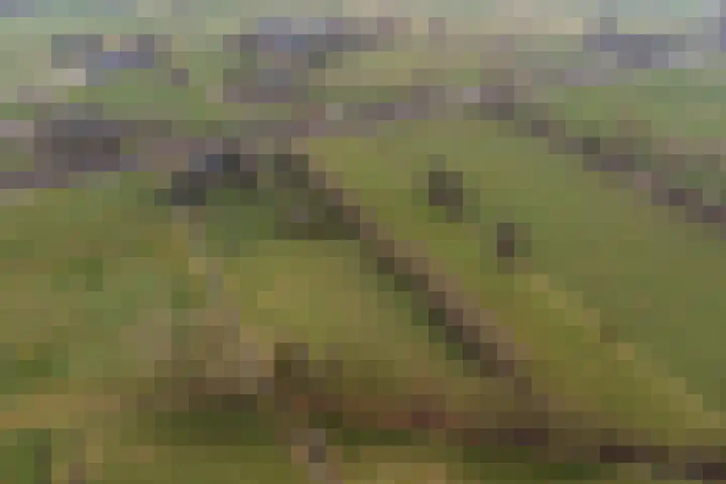 Atlaslaan 128 Hoogeveen thumbnail 6
