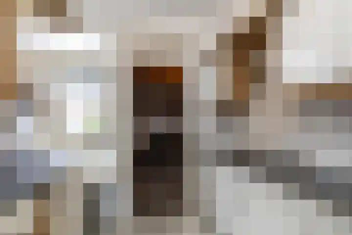 Atlaslaan 128 Hoogeveen thumbnail 7