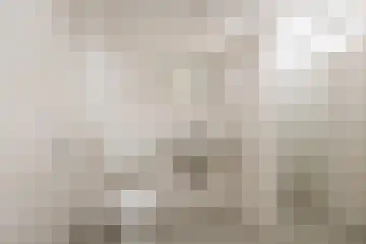 Atlaslaan 128 Hoogeveen thumbnail 9