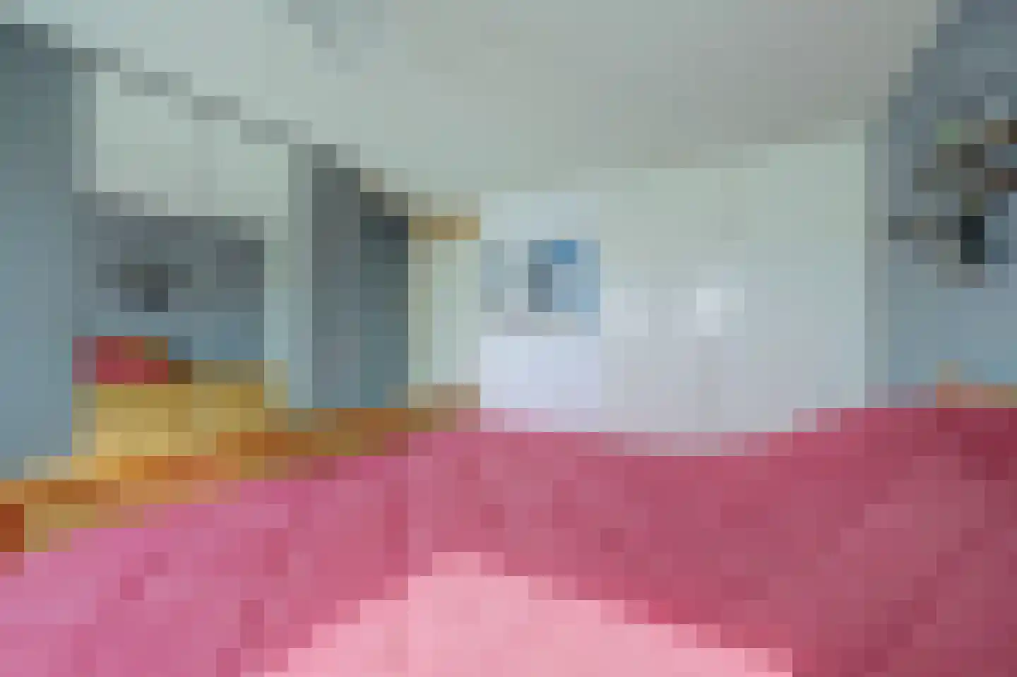 Atlaslaan 7 Hoogeveen thumbnail 22