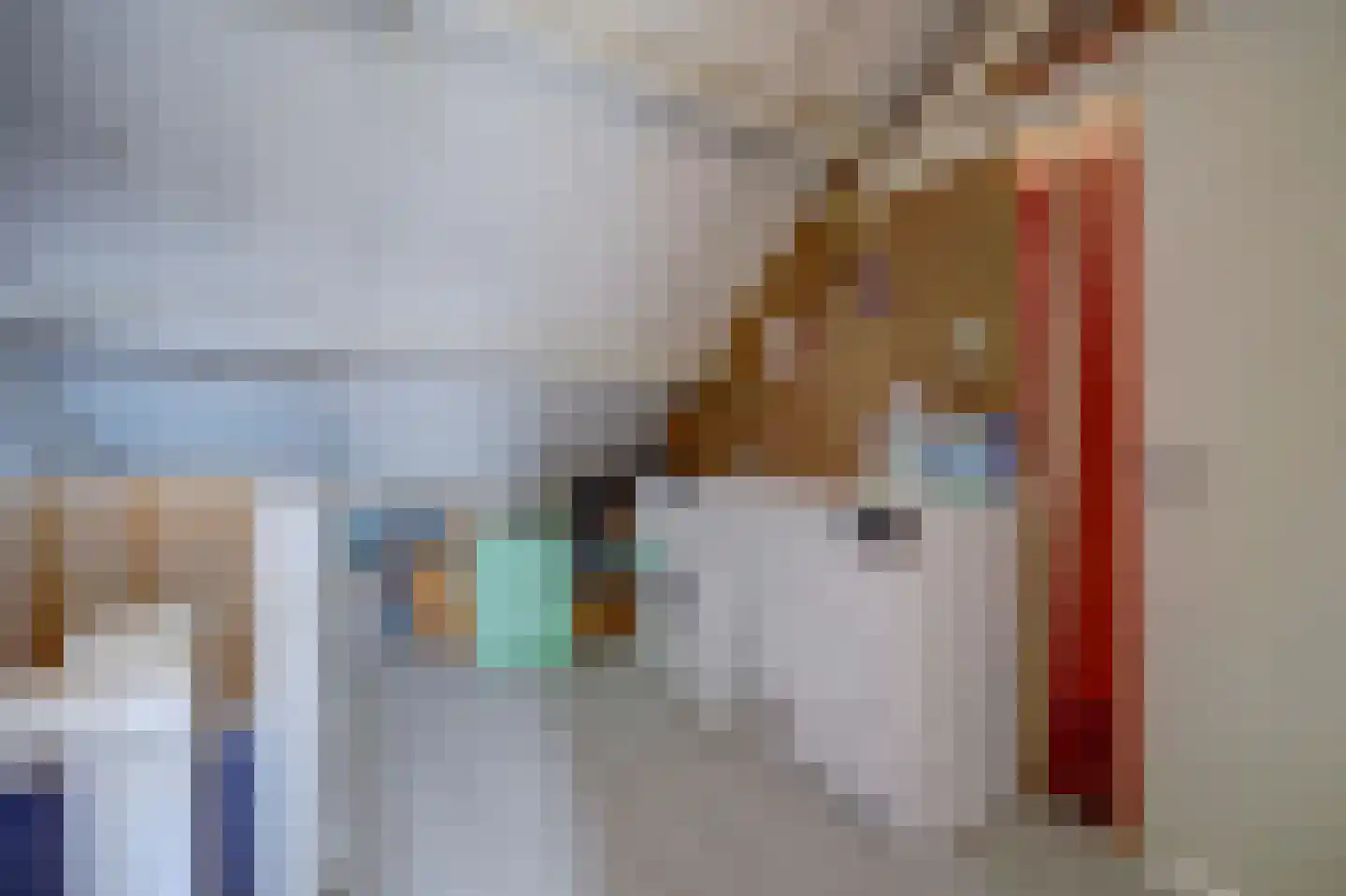 Atlaslaan 7 Hoogeveen thumbnail 30