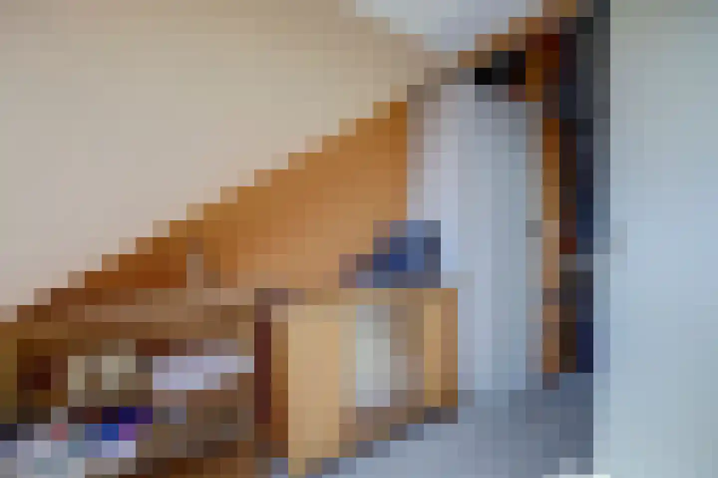 Atlaslaan 7 Hoogeveen thumbnail 35