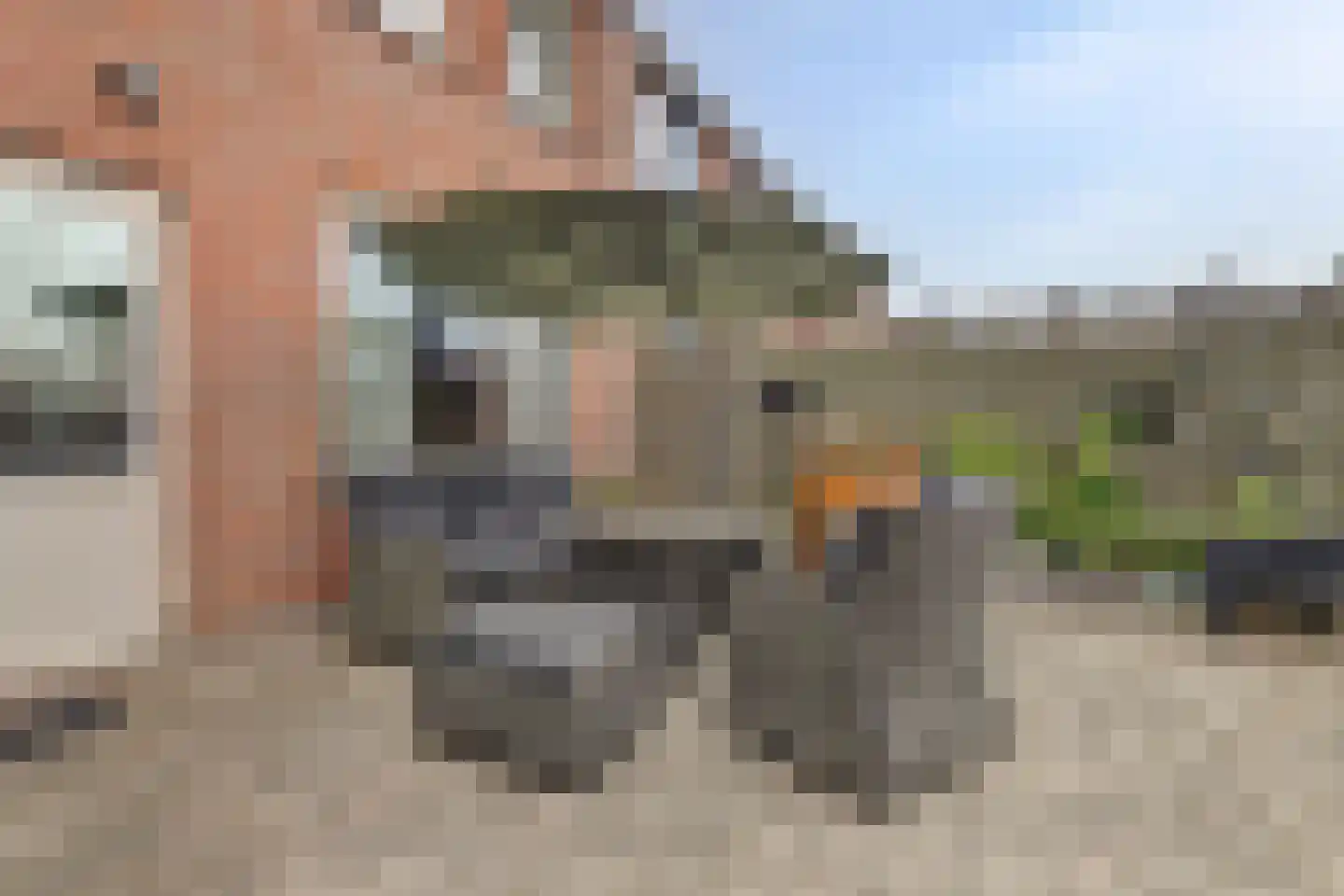 Atlaslaan 7 Hoogeveen thumbnail 37