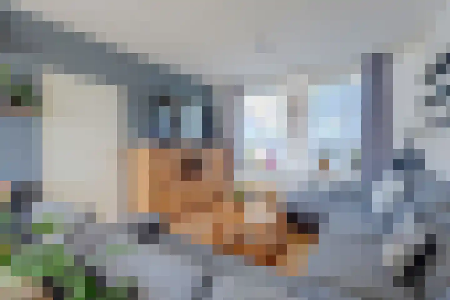 Atlaslaan 7 Hoogeveen thumbnail 8