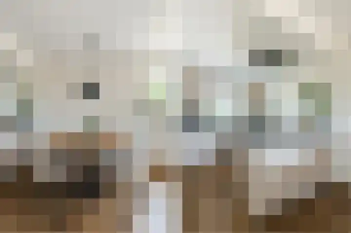 Atlasstraat 19 Zuidhorn thumbnail 11