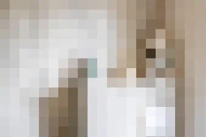 Atlasstraat 19 Zuidhorn thumbnail 26
