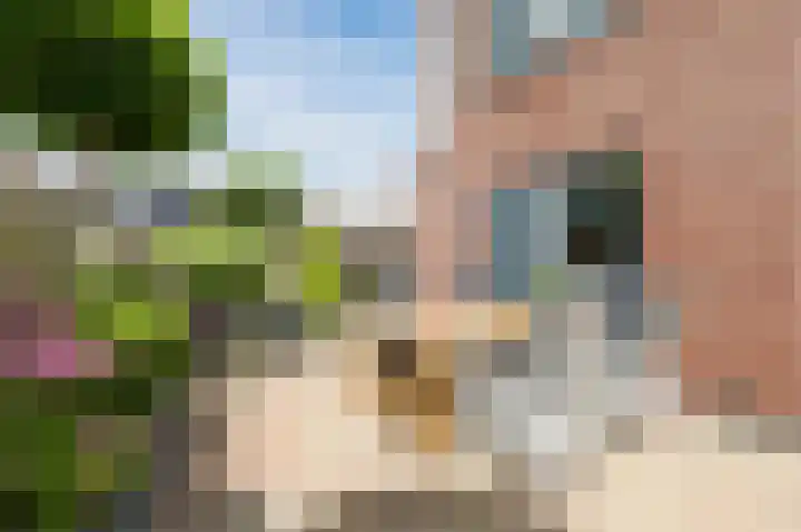 Atlasstraat 19 Zuidhorn thumbnail 31
