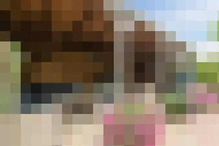Atlasstraat 19 Zuidhorn thumbnail 34