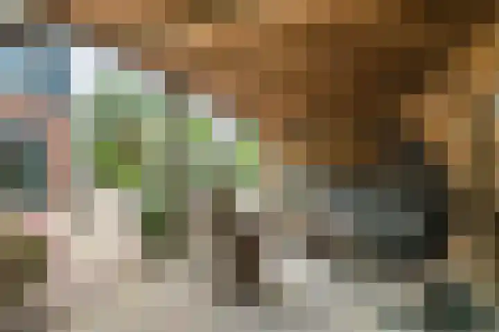 Atlasstraat 19 Zuidhorn thumbnail 35