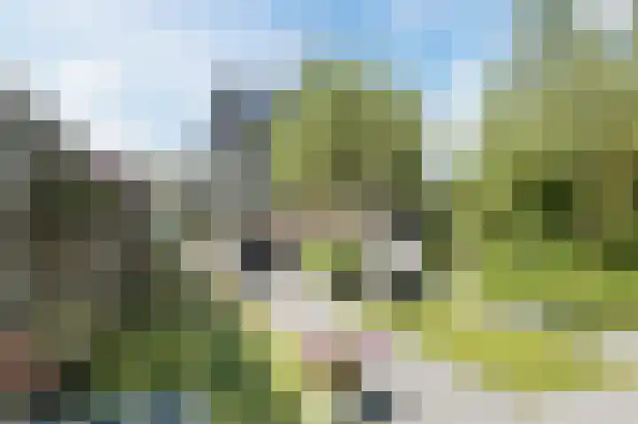 Atlasstraat 25 Zuidhorn thumbnail 50