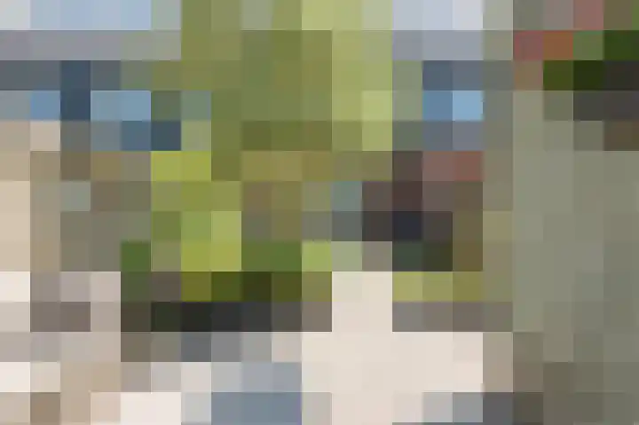 Atlasstraat 25 Zuidhorn thumbnail 52