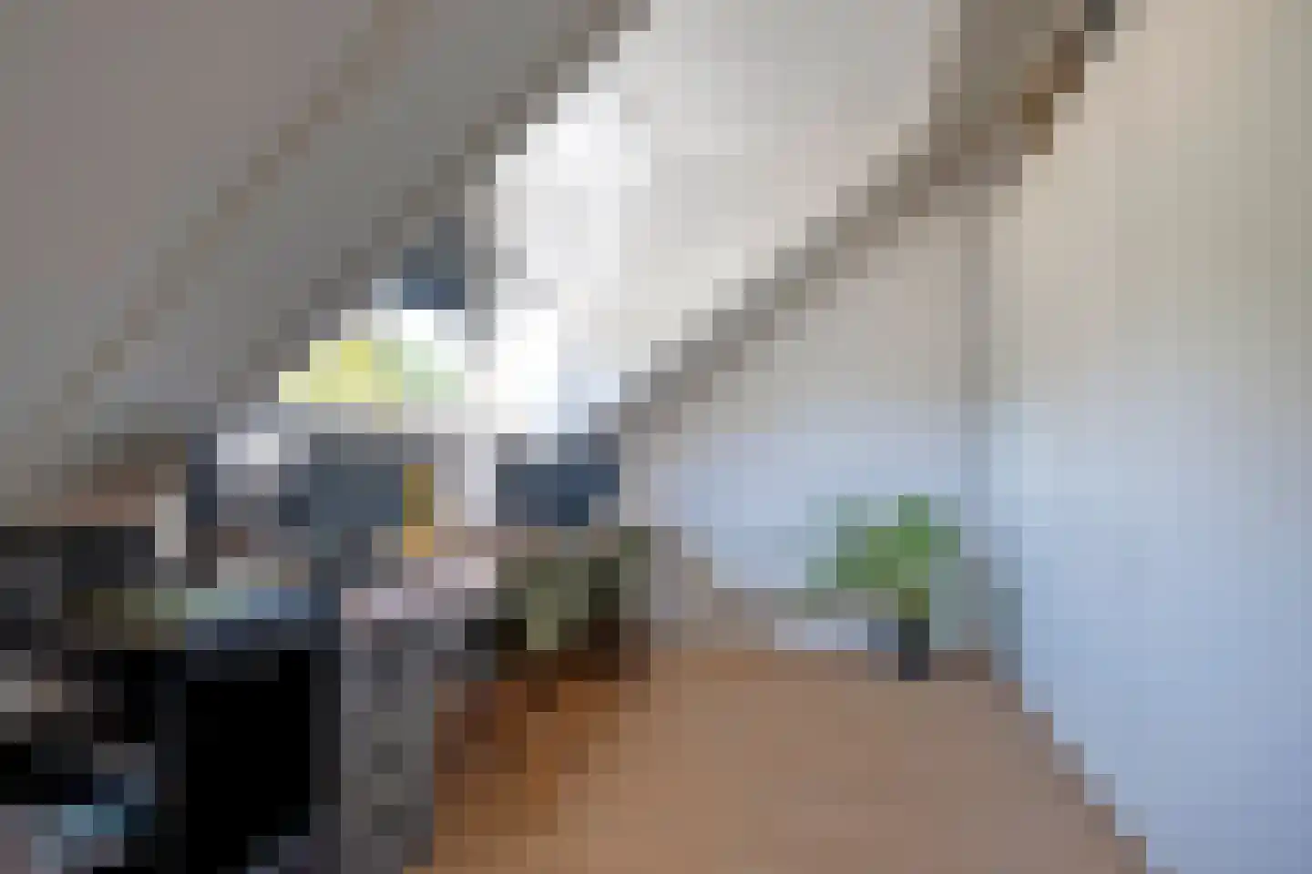 Atlasstraat 49 Zuidhorn thumbnail 43