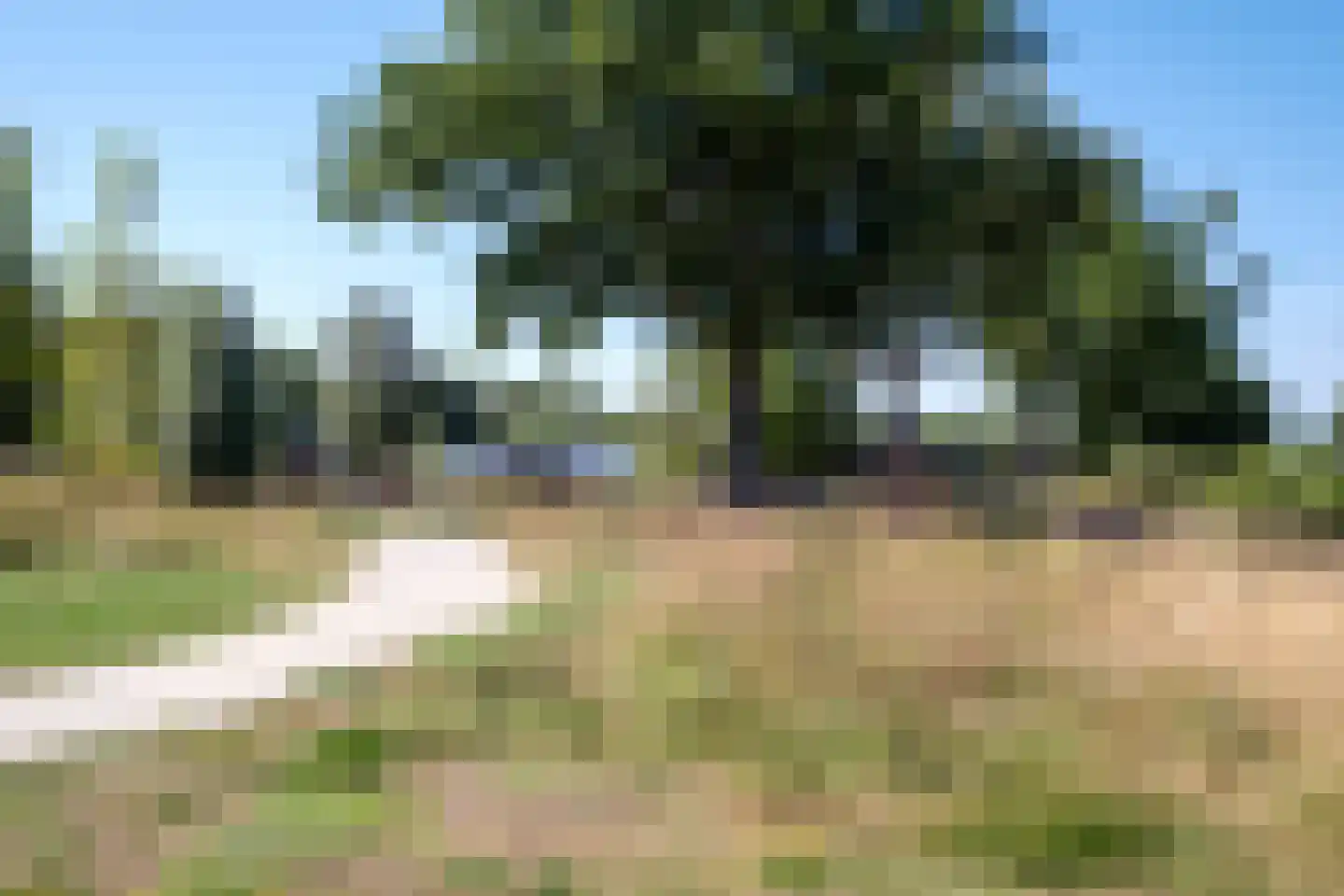 Atlasstraat 49 Zuidhorn thumbnail 62