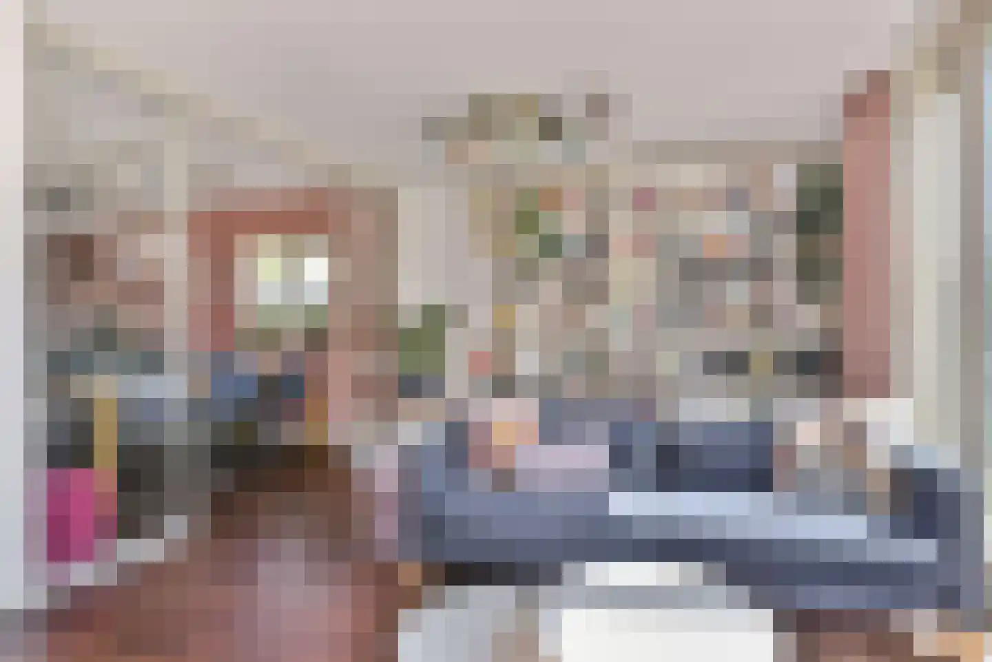 Atlasvlinder 108 Amersfoort thumbnail 13