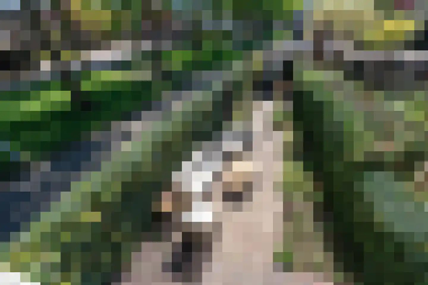 Atlasvlinder 108 Amersfoort thumbnail 26