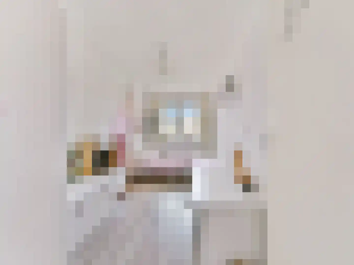 Atlasvlinder 108 Amersfoort thumbnail 33