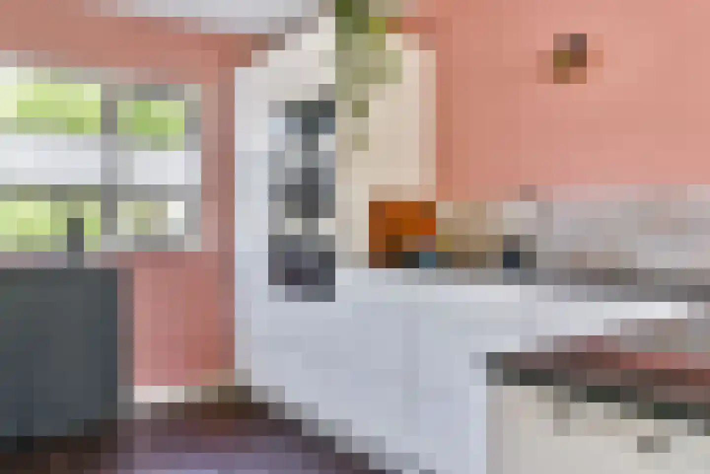 Atlasvlinder 108 Amersfoort thumbnail 5