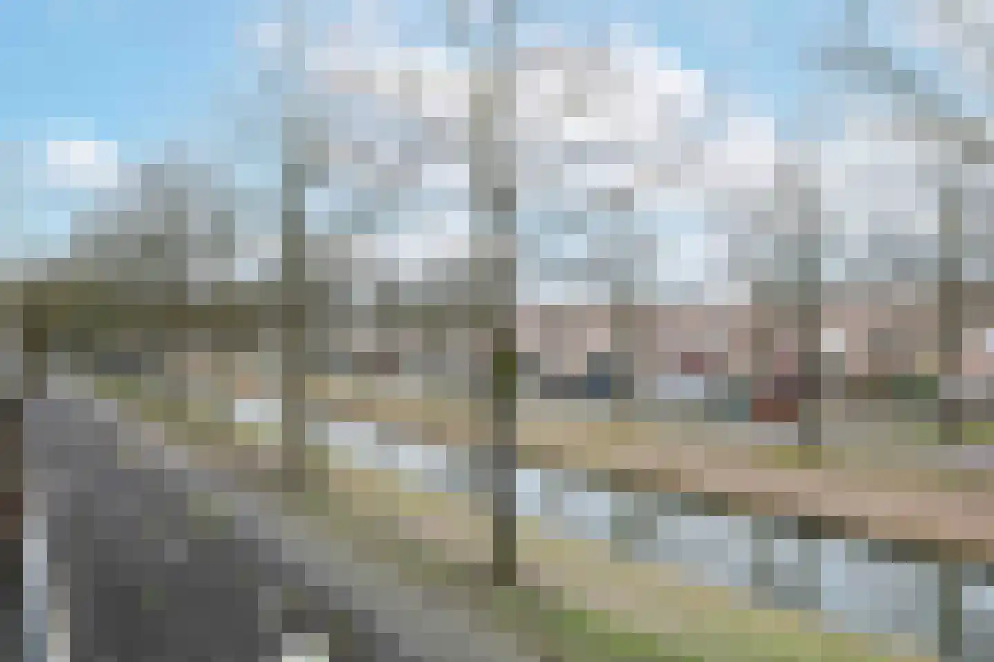 Atlasvlinder 2 A Amersfoort thumbnail 24