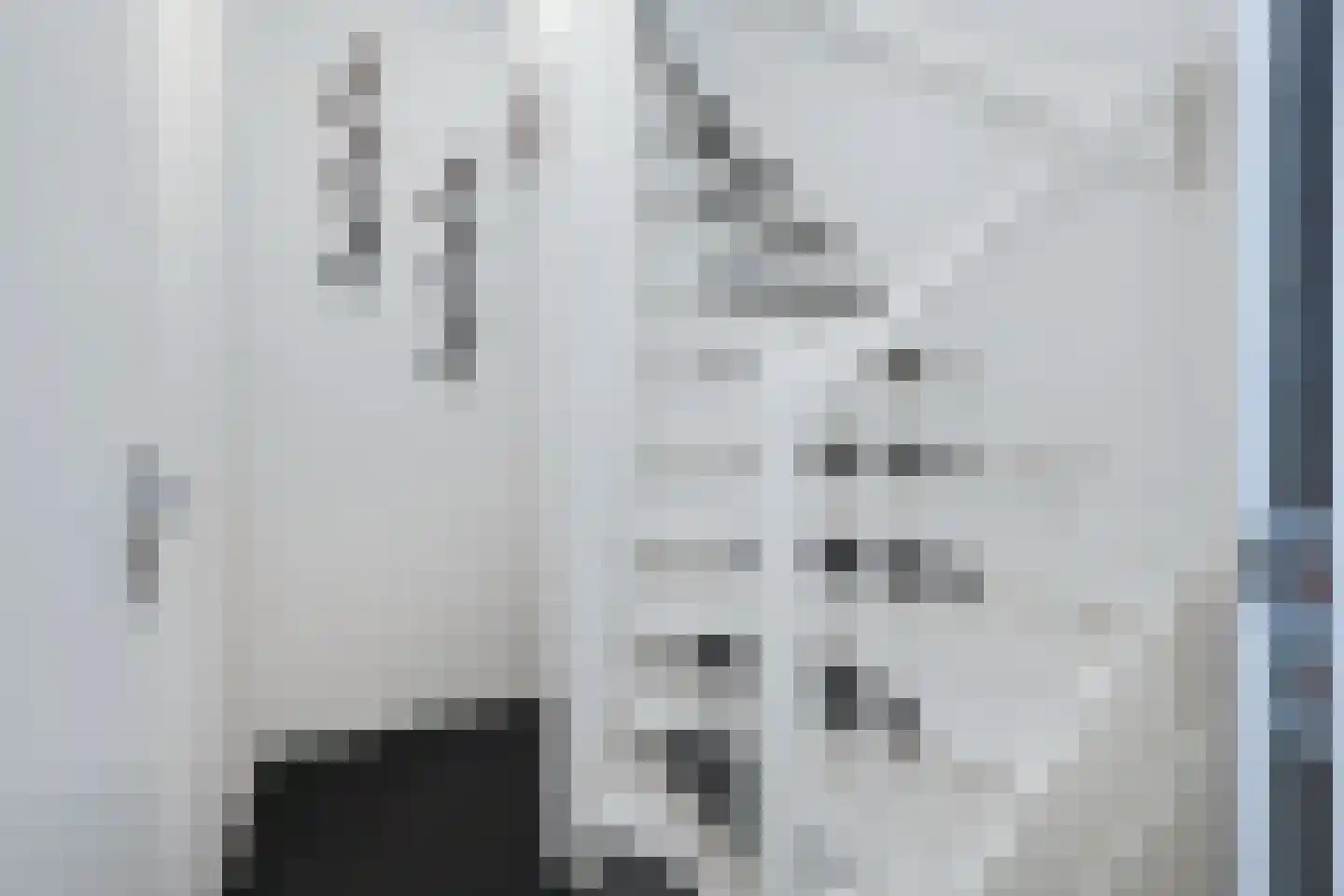 Atlasvlinder 2 A Amersfoort thumbnail 7