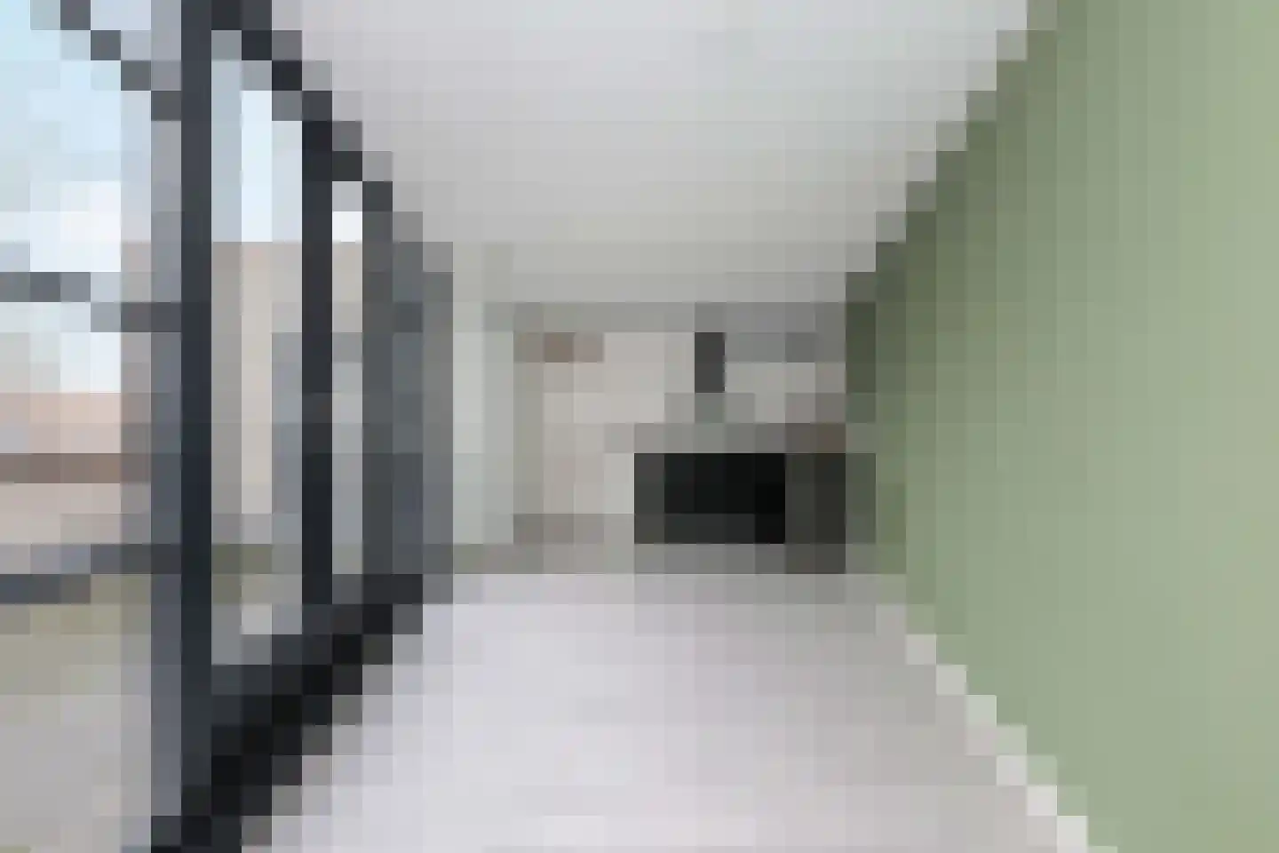Atlasvlinder 2 A Amersfoort thumbnail 8