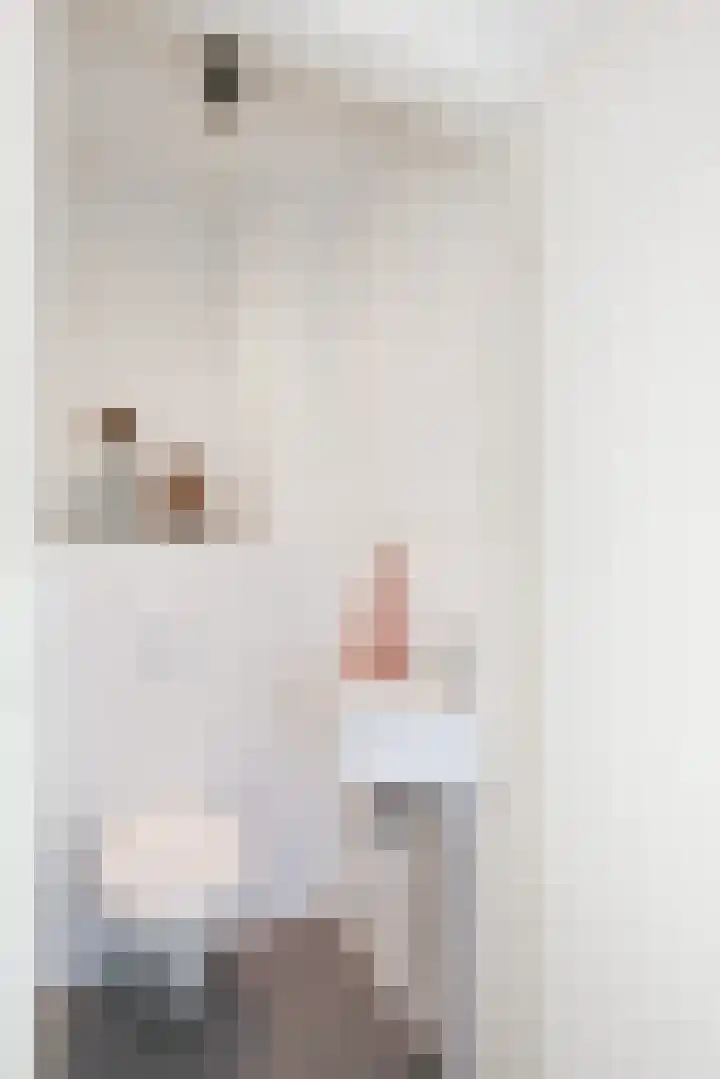 Atlasvlinder 2 Amersfoort thumbnail 10