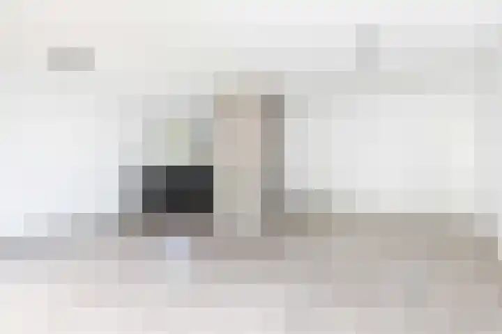 Atlasvlinder 2 Amersfoort thumbnail 11