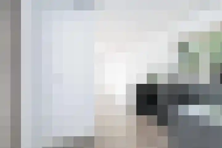 Atlasvlinder 2 Amersfoort thumbnail 13