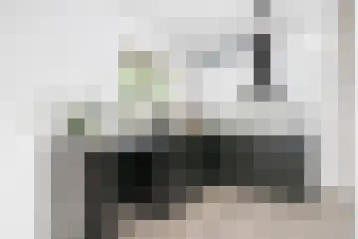 Atlasvlinder 2 Amersfoort thumbnail 14